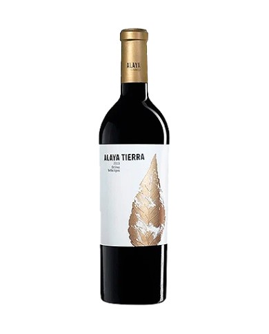 TINTO ALAYA TIERRA
